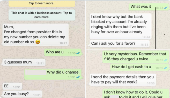 screenshot showing a text message scam